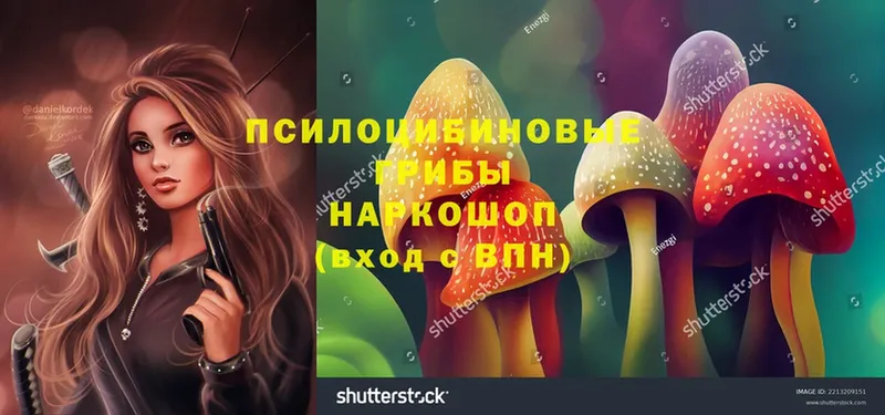 Галлюциногенные грибы Magic Shrooms  Электрогорск 